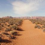 Sul sentiero per l'Horse Shoe Bend